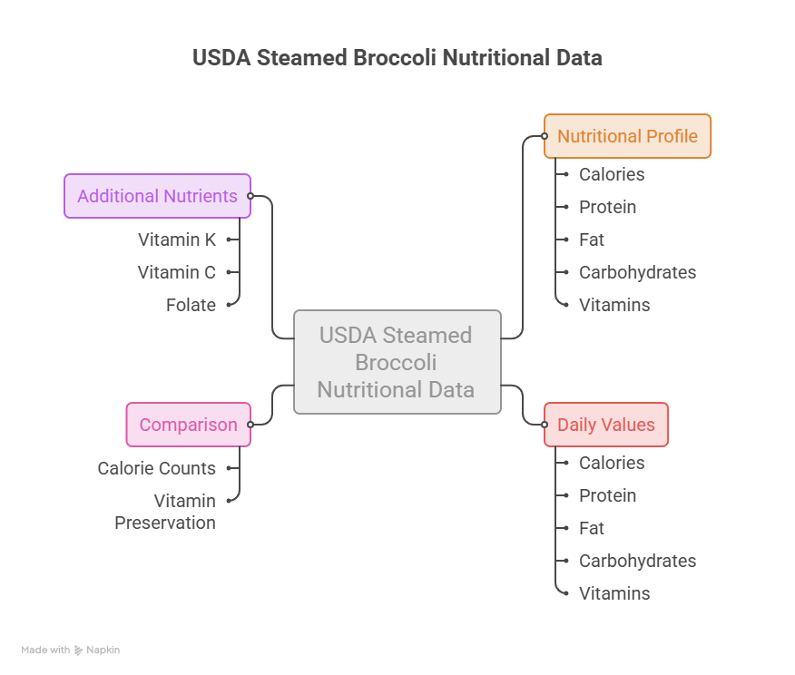Infographic showing USDA steamed broccoli nutritional data, including vitamins and daily values like calories and protein.