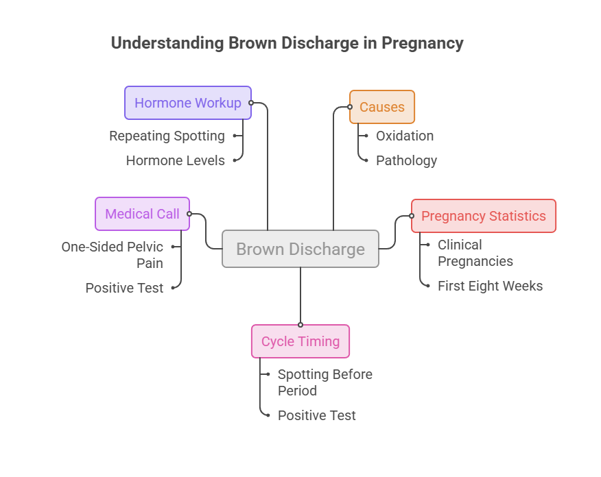 Infographic explaining brown discharge in pregnancy with sections on hormone workup, causes, medical call, cycle timing, and pregnancy statistics.