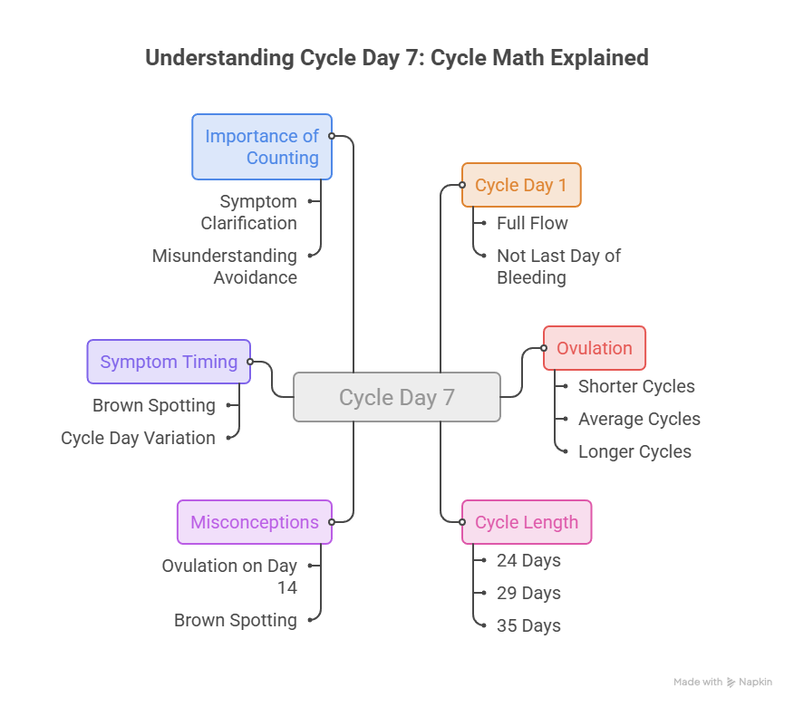 Infographic explaining Cycle Day 7, including importance of counting, symptom timing, and misconceptions.
