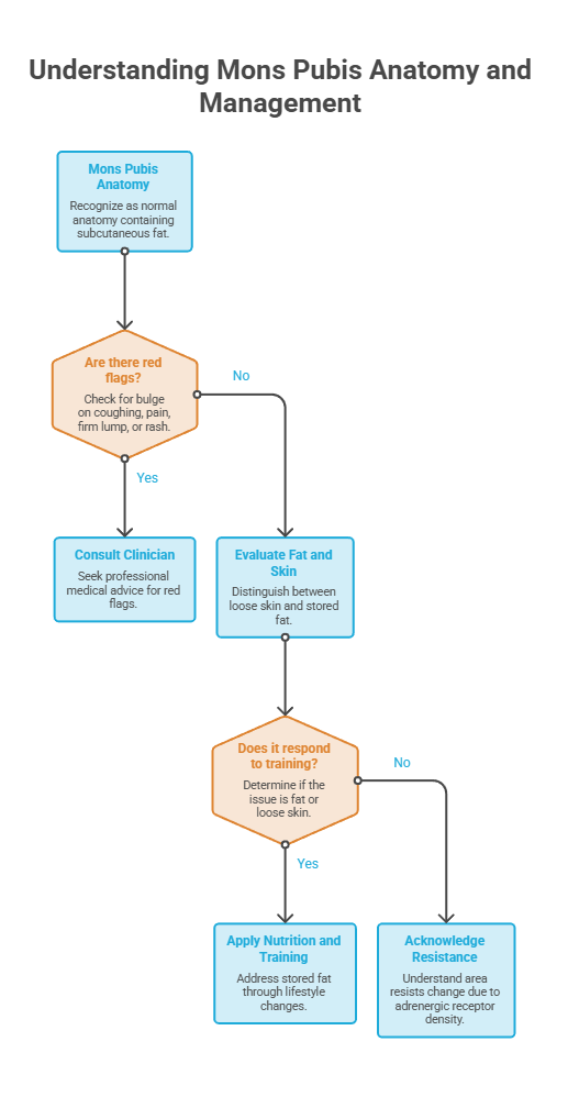 Flowchart explaining Mons Pubis anatomy and management, including evaluation steps and recommendations. Infographic.
