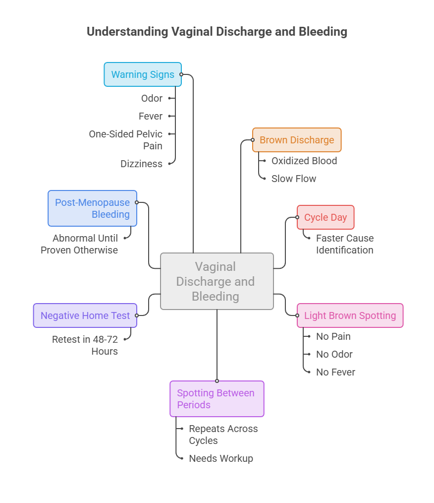 Infographic illustrating vaginal discharge and bleeding, including warning signs and conditions like brown discharge and spotting.