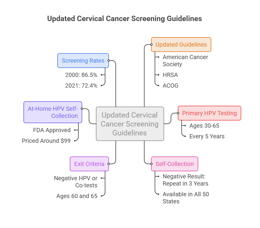 Infographic showing updated cervical cancer screening guidelines with statistics and recommendations for HPV testing.