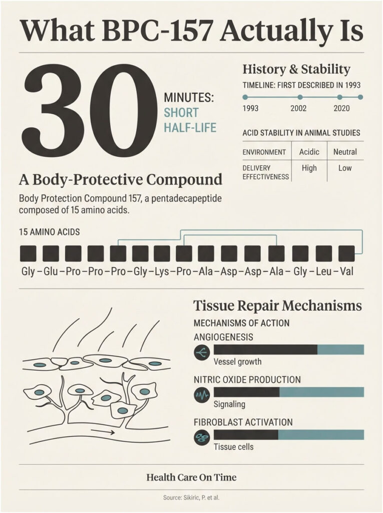 Infographic explaining BPC-157, its half-life, amino acids, and tissue repair mechanisms with charts and icons.