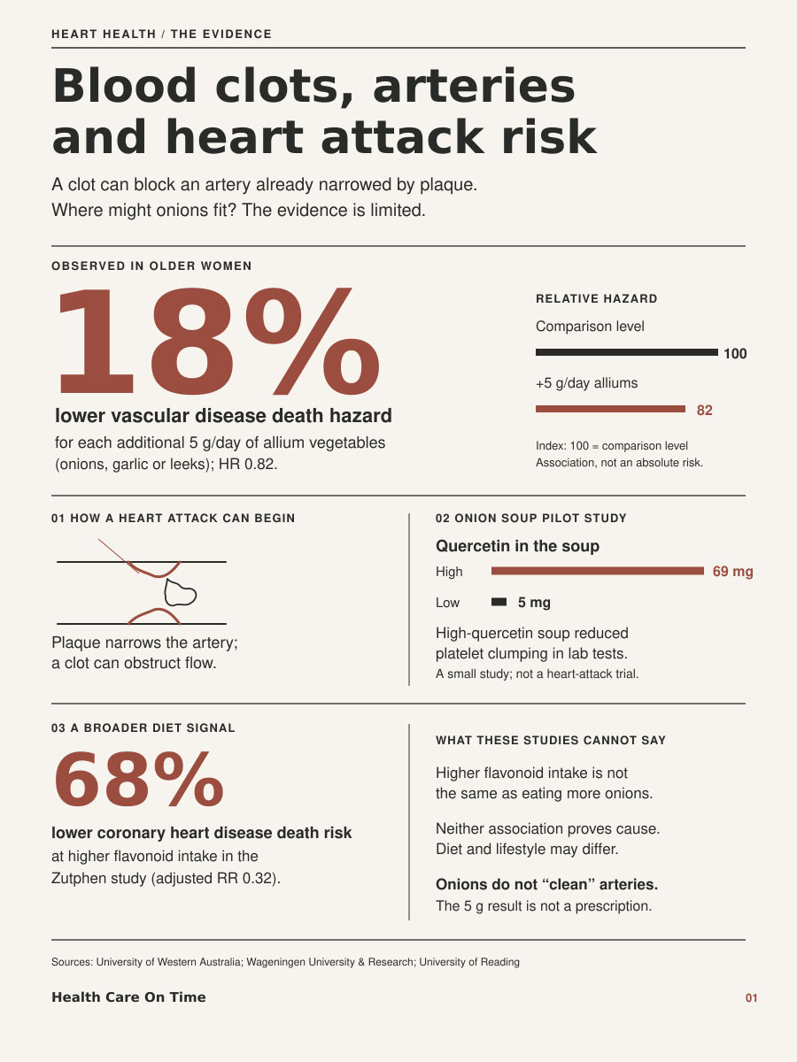 Infographic showing blood clots, arteries, and heart attack risk with statistics on allium vegetables and coronary heart disease.
