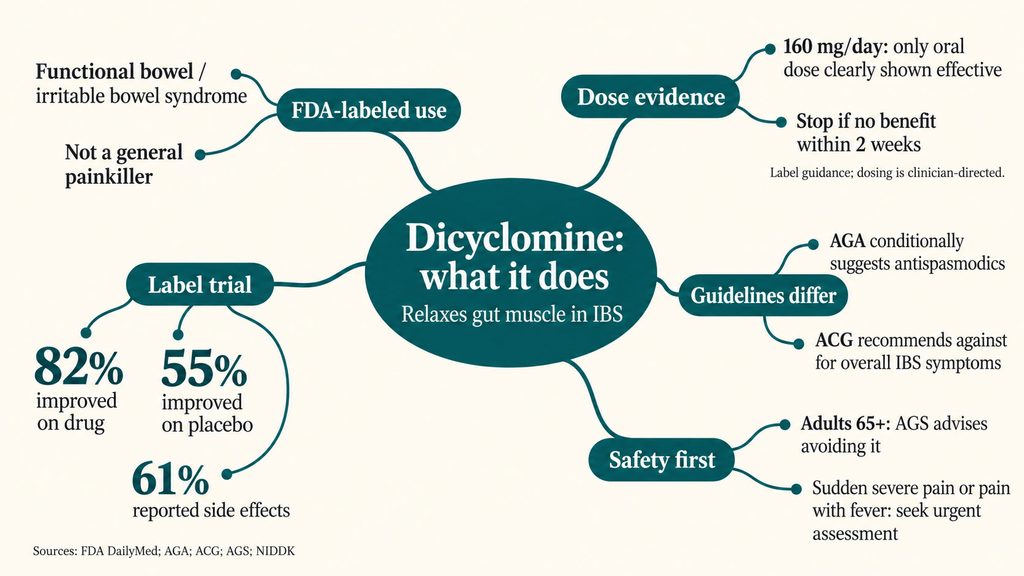 Infographic explaining dicyclomine's effects on IBS, including trial results and guidelines for use.