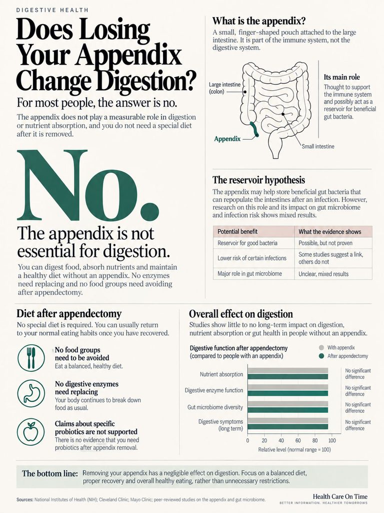 Infographic explaining the role of the appendix in digestion, showing charts and key points about appendectomy effects.