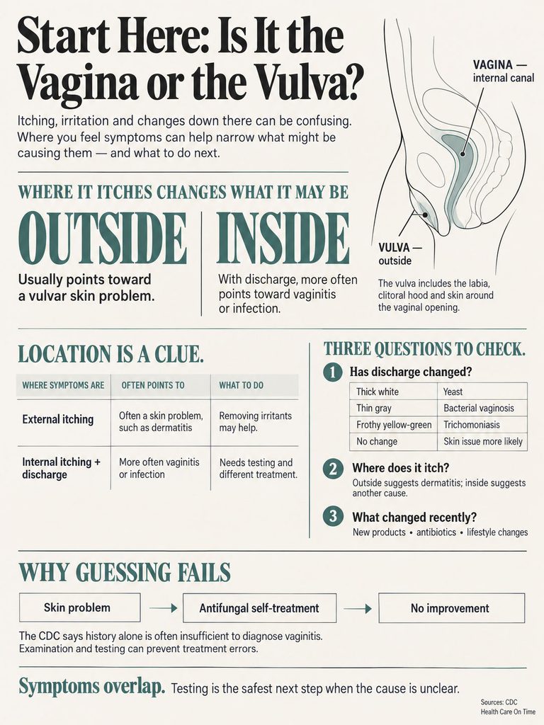 Infographic explaining symptoms of vaginal vs vulvar issues, including charts and key questions to assess conditions.