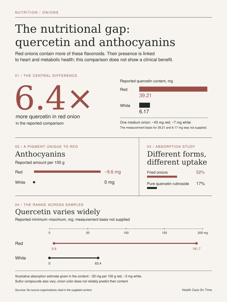 Infographic comparing quercetin and anthocyanin levels in red and white onions, highlighting nutritional differences.