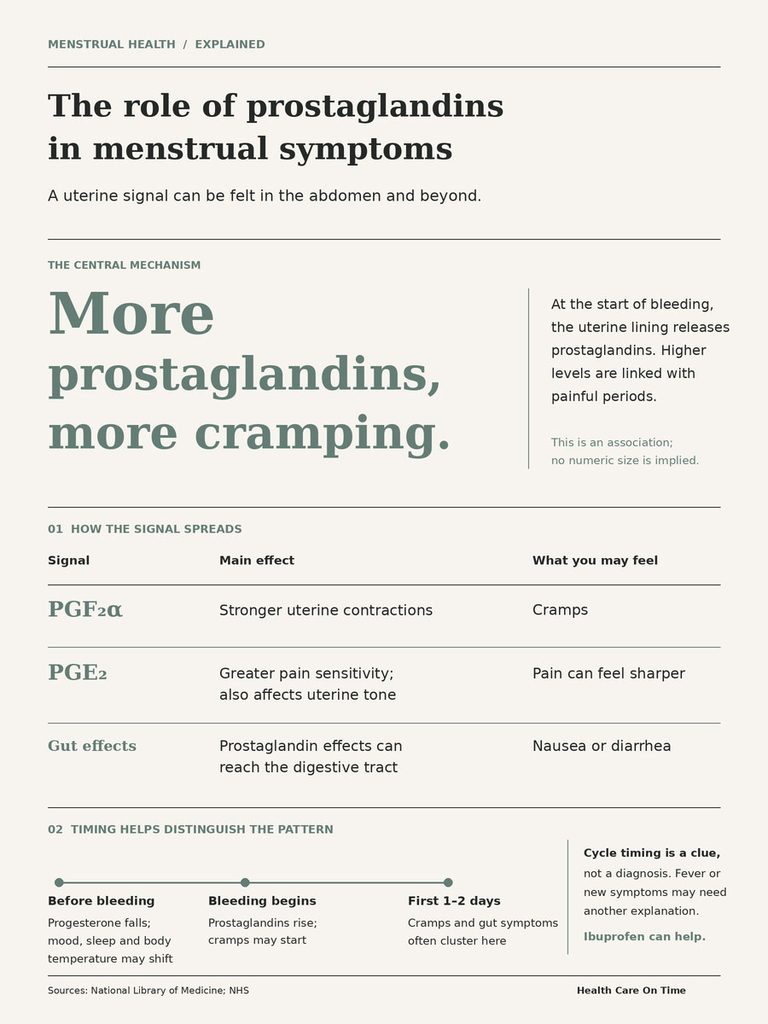 Infographic explaining prostaglandins' role in menstrual symptoms with charts on signals and effects.