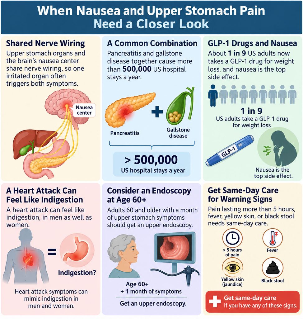 Infographic showing connections between nausea, upper stomach pain, and related health issues with illustrations and statistics.