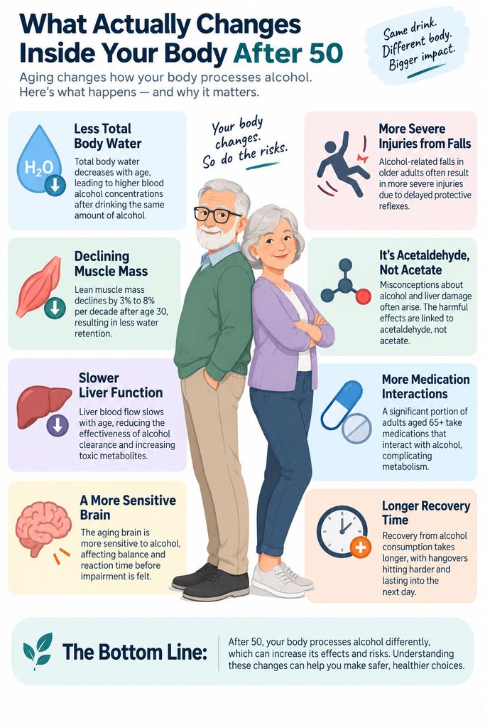 Infographic explaining body changes after 50 affecting alcohol processing, with illustrations and key points.