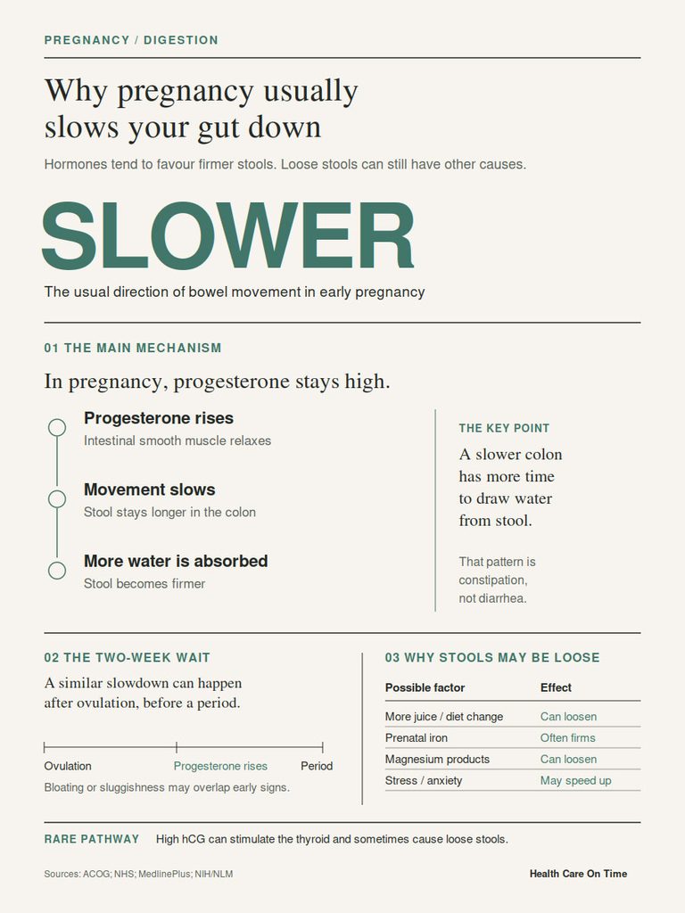Infographic explaining how pregnancy slows gut movement, featuring charts on progesterone and stool firmness.