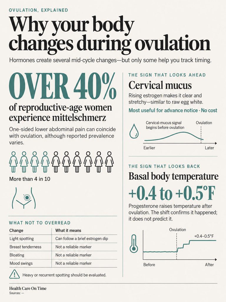 Infographic explaining ovulation changes, featuring statistics, charts, and signs like cervical mucus and basal body temperature.