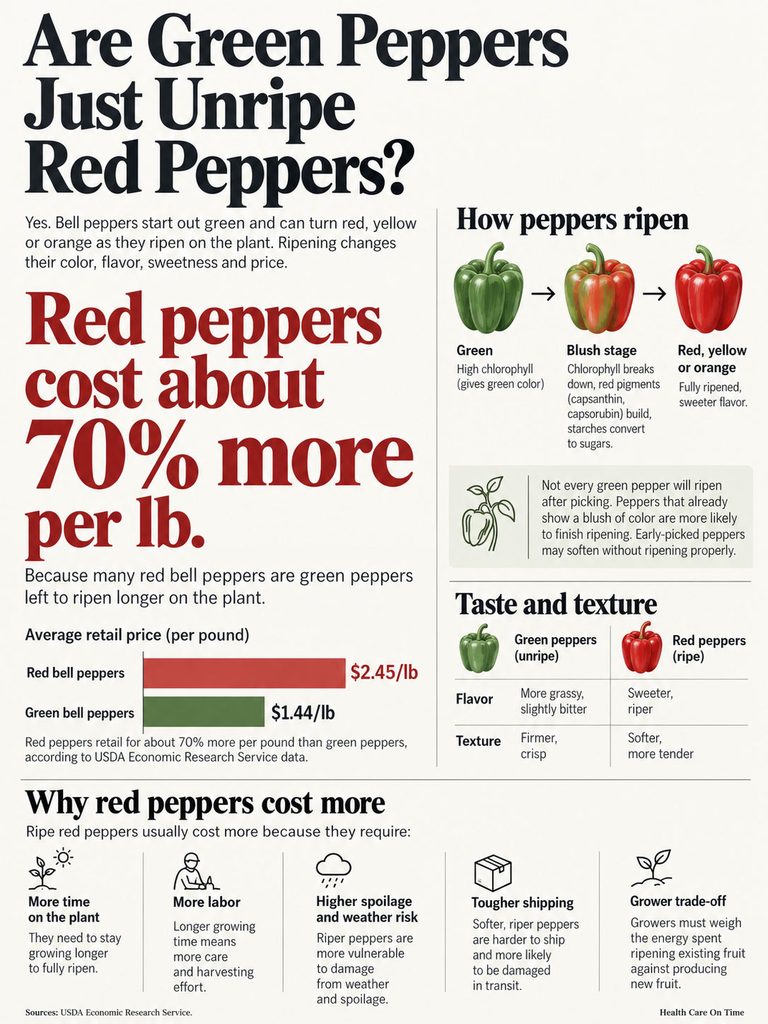 Infographic comparing green and red bell peppers, highlighting price, ripening stages, and taste differences.