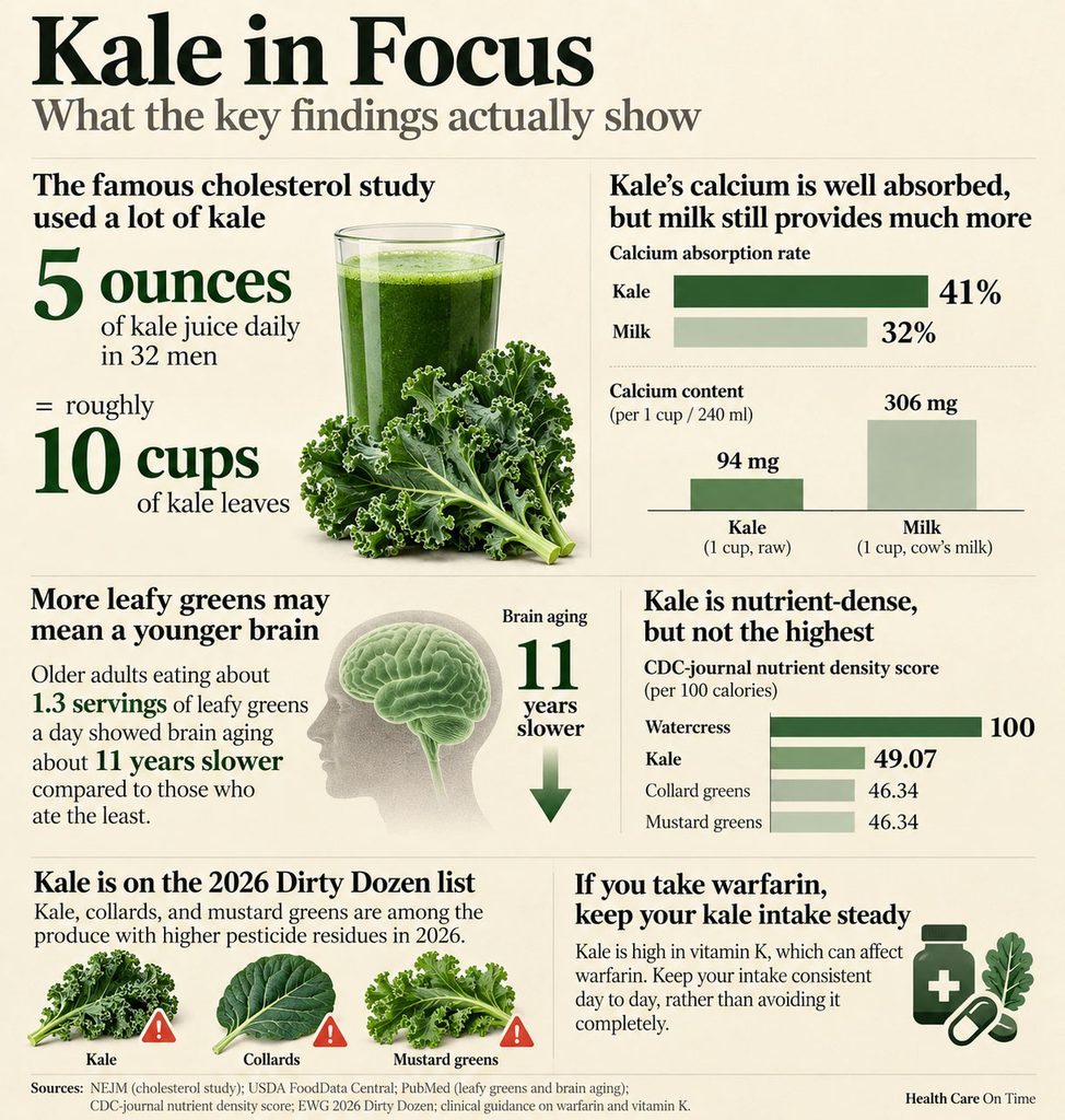 Infographic showing kale's health benefits, calcium absorption rates, and brain aging effects with charts and statistics.