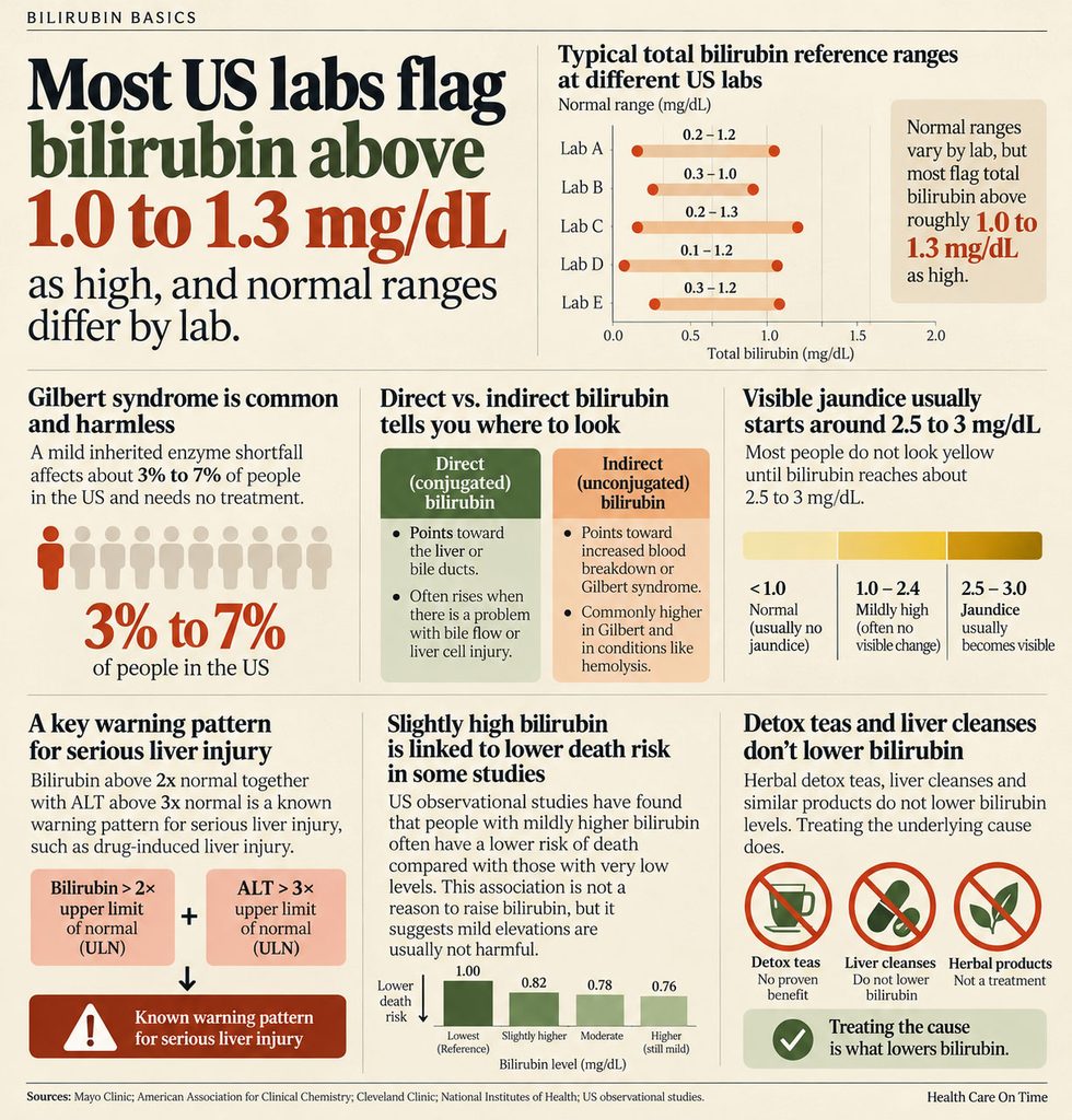Infographic explaining bilirubin levels, reference ranges, and health implications with charts and statistics.