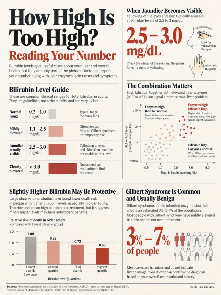 Infographic explaining bilirubin levels, jaundice symptoms, and health implications with charts and data points.