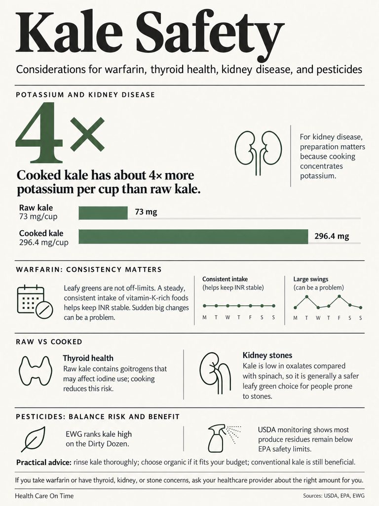 Infographic on kale safety, showing potassium levels in raw and cooked kale, and health considerations for warfarin and thyroid health.