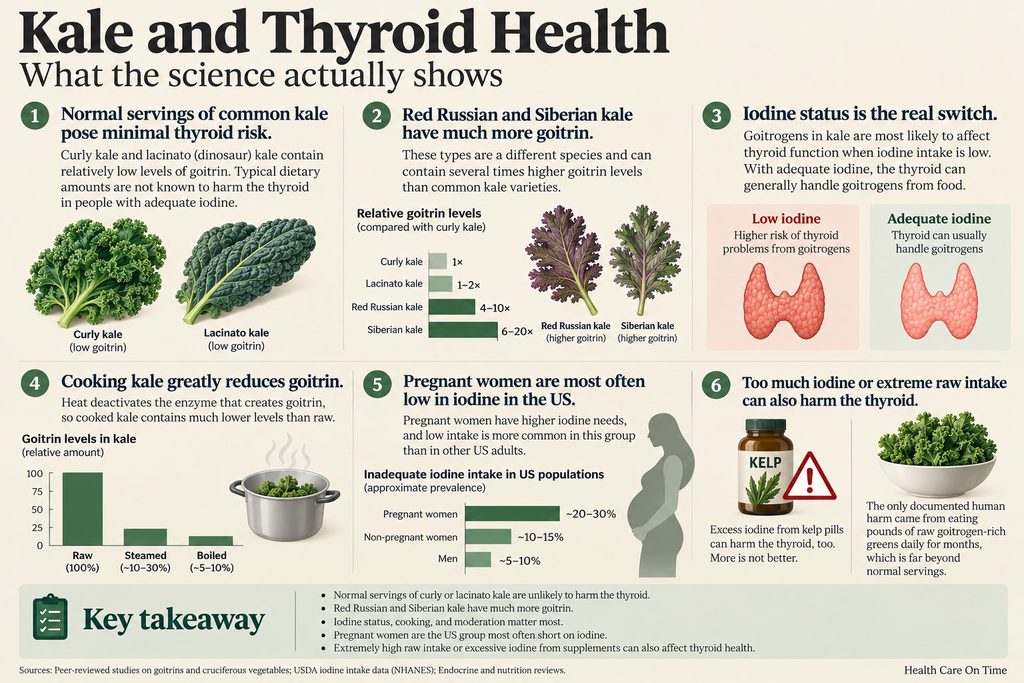 Infographic showing kale's impact on thyroid health, including goitrogen levels and iodine status.