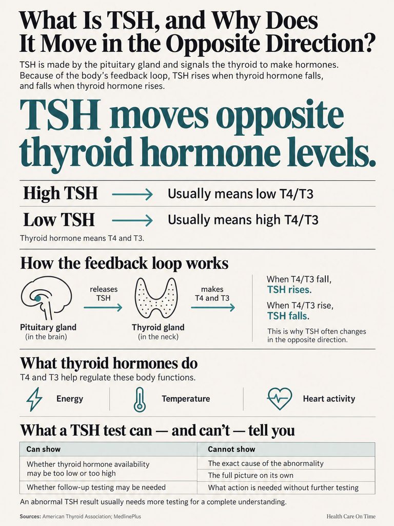 Infographic explaining TSH hormone levels, feedback loop, and thyroid hormone functions with icons and text.