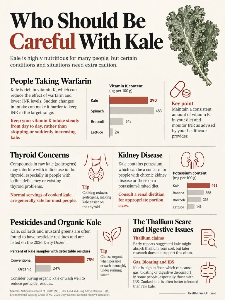 Infographic on kale's health considerations, detailing vitamin K content and risks for certain health conditions.