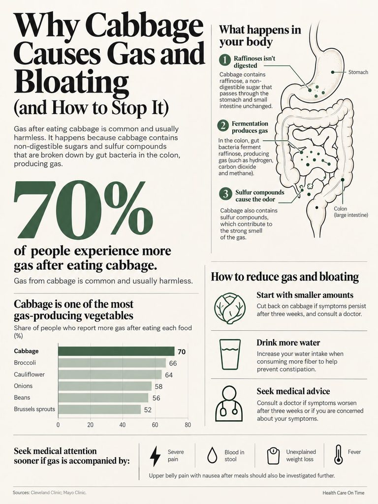 Infographic explaining why cabbage causes gas and bloating, featuring charts and health tips.